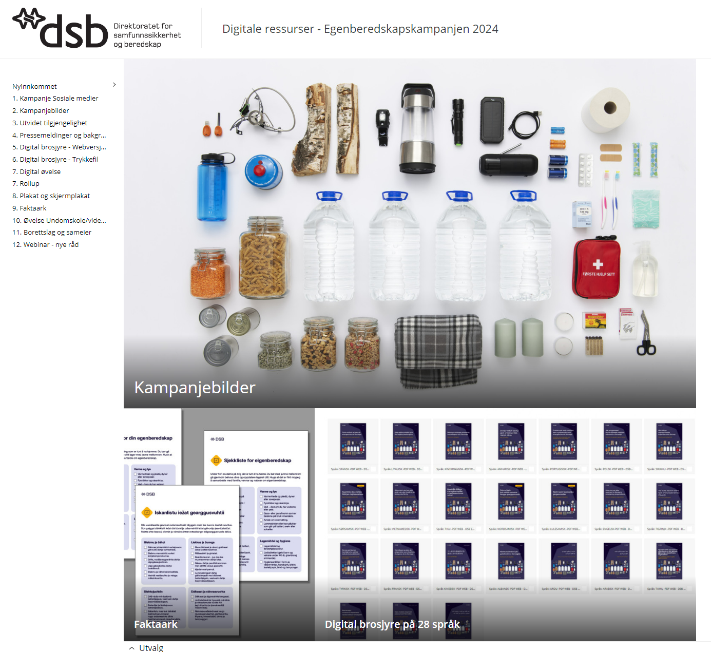 DSBs medieportal.PNG